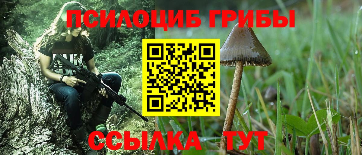 Псилоцибиновые грибы Psilocybe  Вход с VPN  Галлюциногенные грибы GOLDEN TEACHER  Советский 